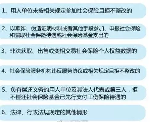 新澳门与香港一码一肖一特一中，全面释义解释与高考落实展望（2025年版）