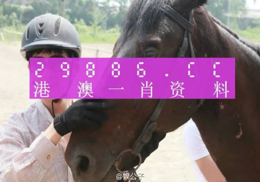 澳门一肖一码一必中一肖同舟前进——词语释义与落实行动