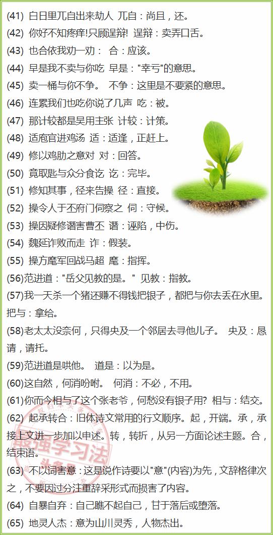 澳门一码一肖，预测的准确性及词语释义解释落实